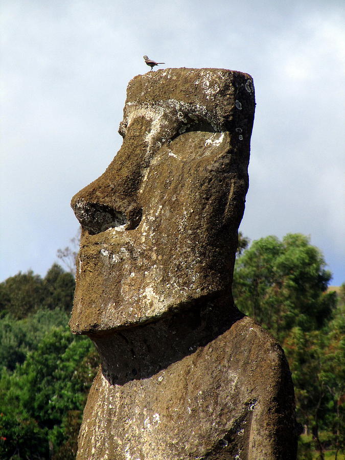 Easter Island Chile #59 Photograph by Paul James Bannerman