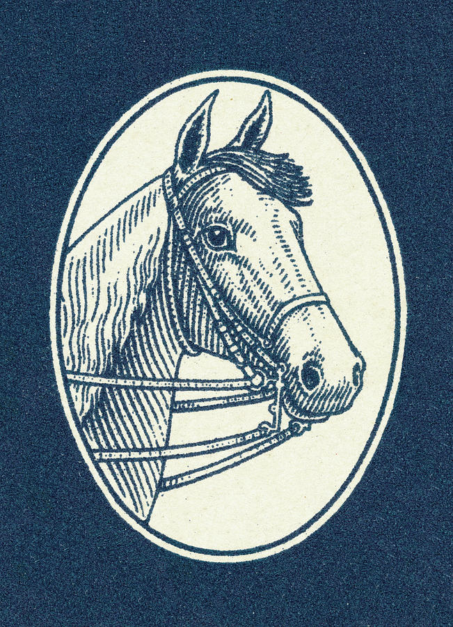 Vintage Drawing - Horse #59 by CSA Images