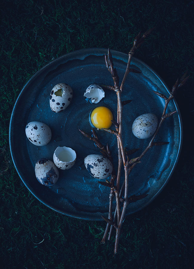 Egg Photograph - *** #6 by Aleksandrova Karina