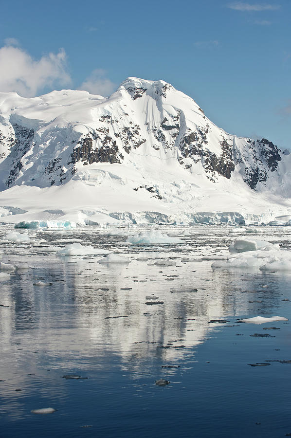 Antarctic Peninsula, Antarctica #6 Photograph by Enrique R. Aguirre Aves