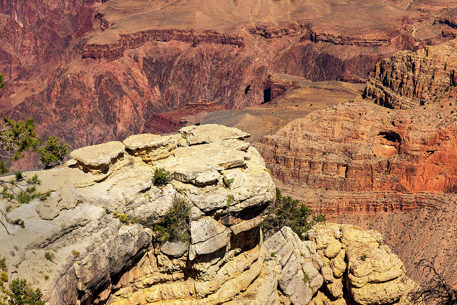Arizona, Grand Canyon National Park. #6 Digital Art by Claudia Uripos