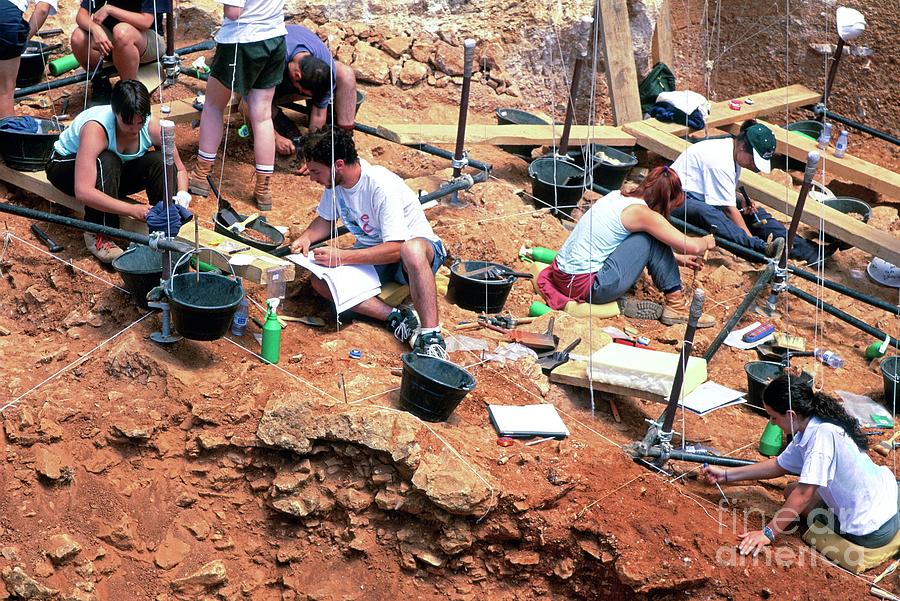 Atapuerca Fossil Excavation #6 Photograph by Javier Trueba/msf/science Photo Library