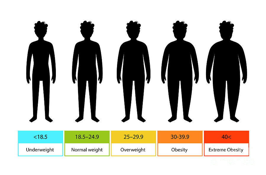 Body Mass Index For Children Photograph by Pikovit / Science Photo ...