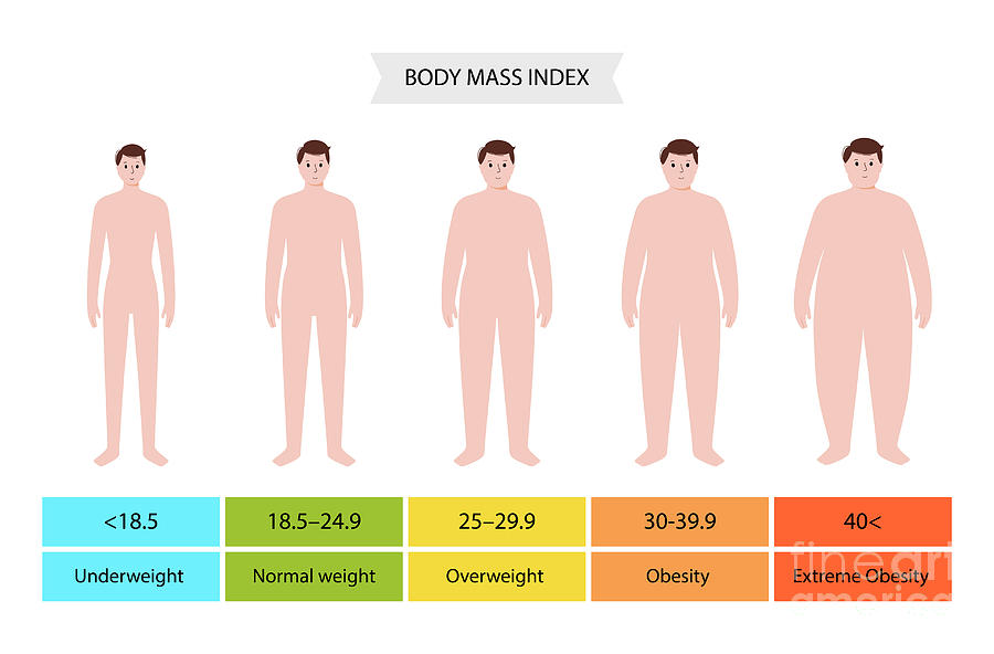 https://images.fineartamerica.com/images/artworkimages/mediumlarge/2/6-body-mass-index-pikovit-science-photo-library.jpg