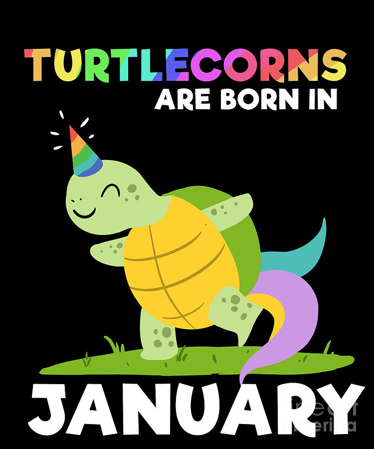 Pixels Born in January Turtle Unicorn Turtlecorn Kids Women's T-Shirt by TeeQueen2603