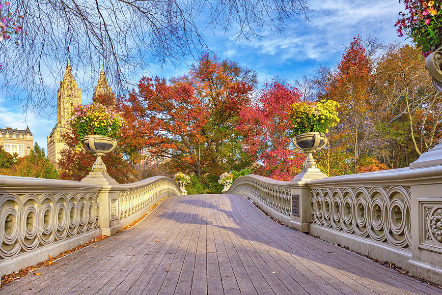 Bow Bridge In Central Park, Manhattan #6 Digital Art by Claudia Uripos