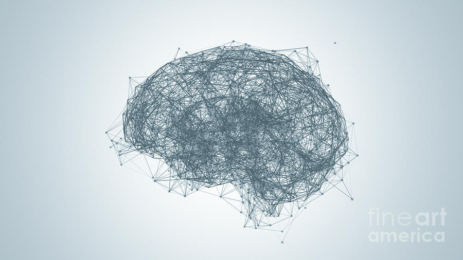 Brain Neural Network #6 Photograph by Jesper Klausen/science Photo Library