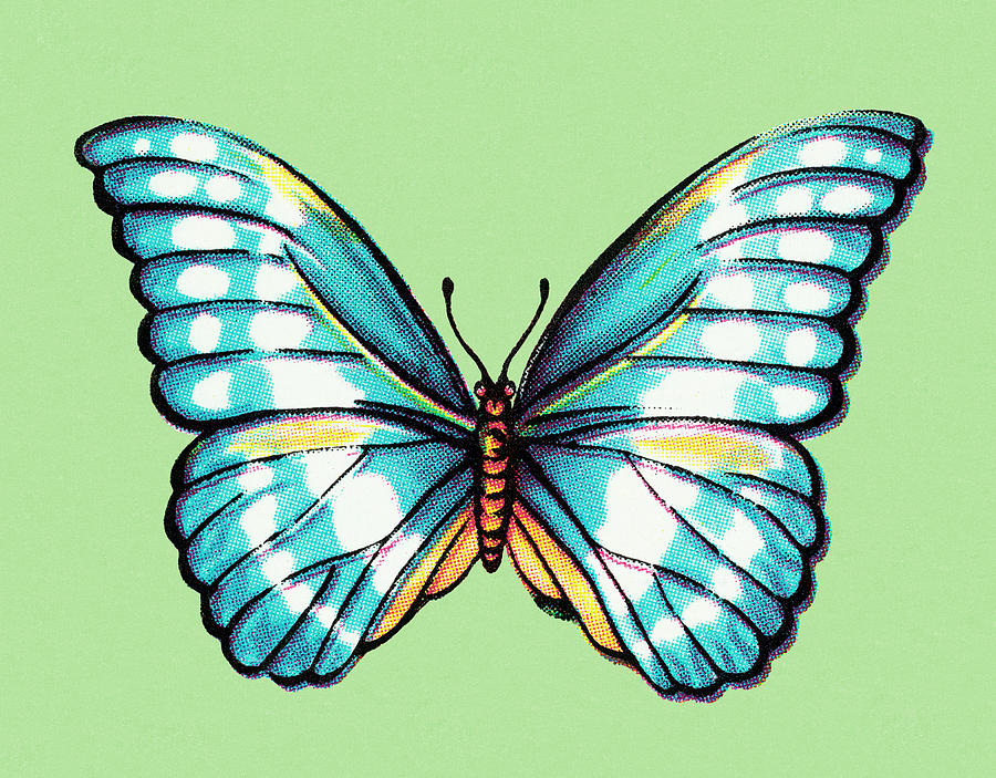 Butterfly Drawing - Butterfly #6 by CSA Images