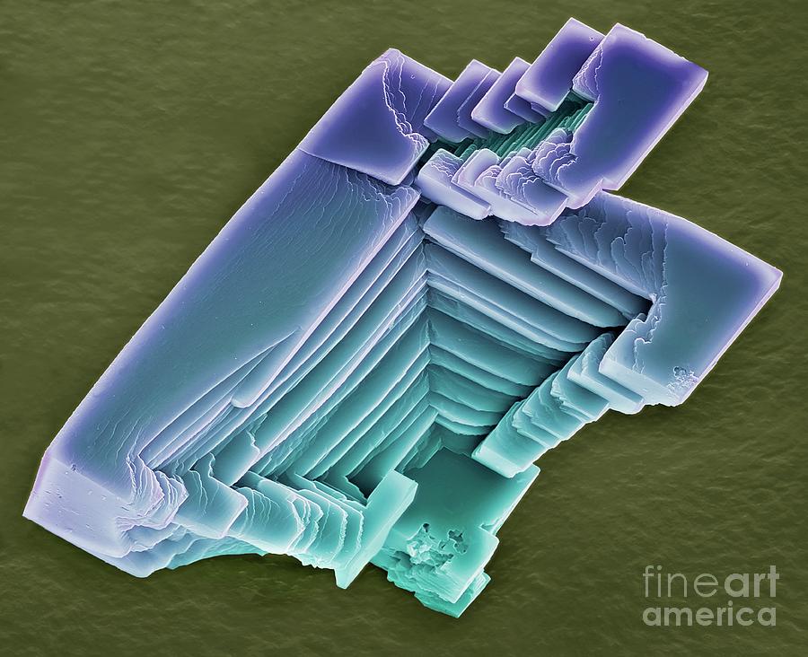 Calcium Carbonate Crystals #6 Photograph by Steve Gschmeissner/science Photo Library