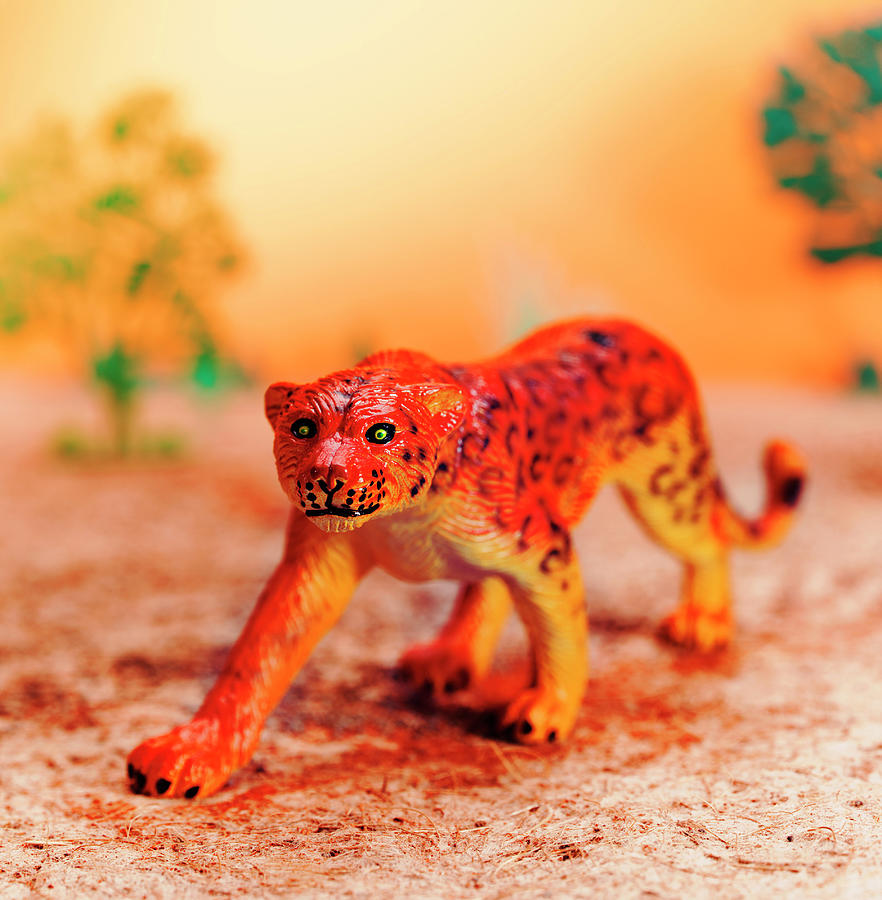 Jungle Drawing - Cheetah #6 by CSA Images