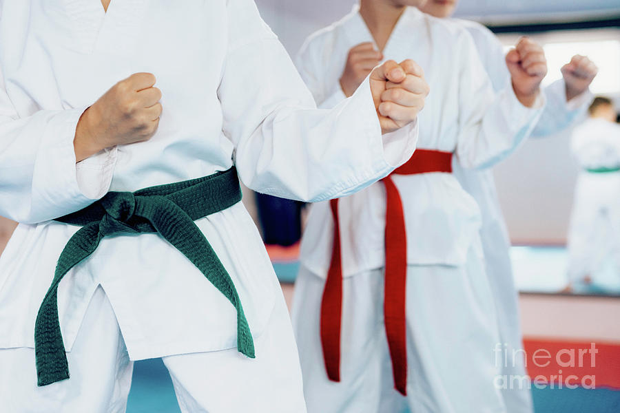 Children In Taekwondo Class #6 Photograph by Microgen Images/science Photo Library