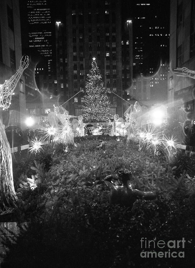 Christmas Tree At Rockefeller Center #6 Photograph by Bettmann