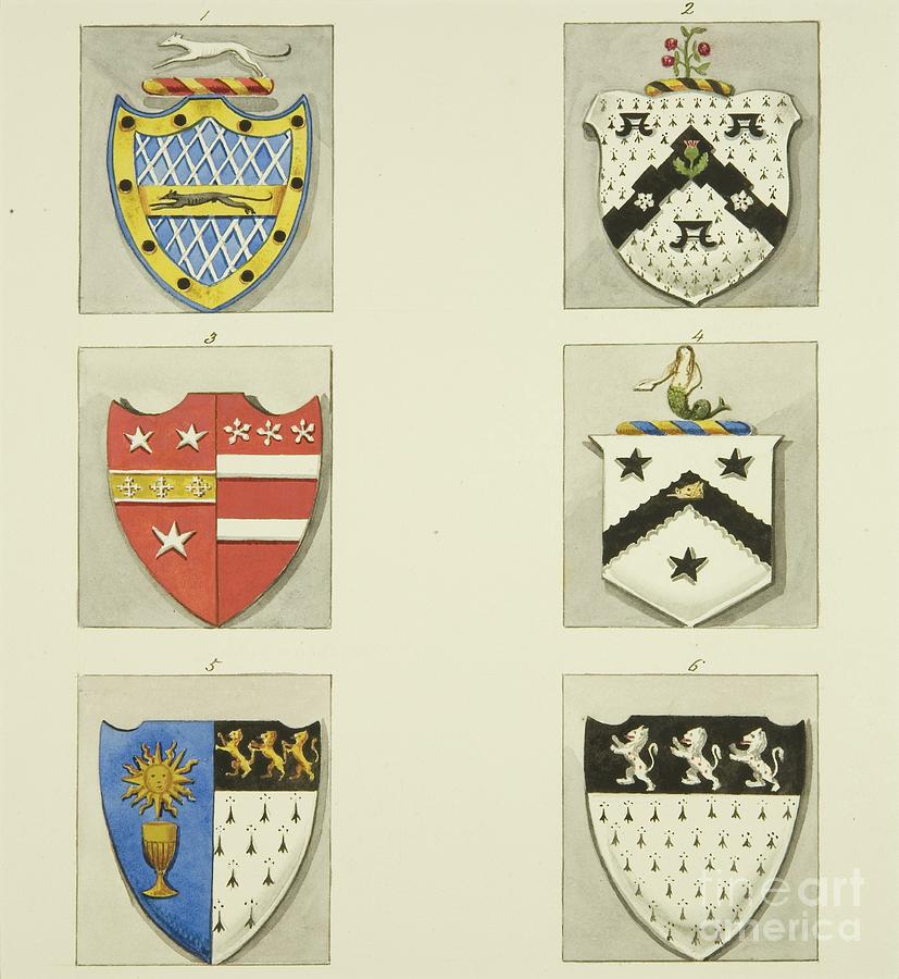 6 Coats-of-arms In St Pauls Church Painting by Joseph Manning
