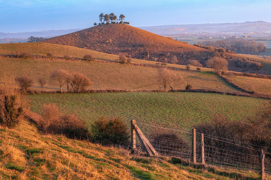 Colmers Hill England Photograph By Joana Kruse Pixels