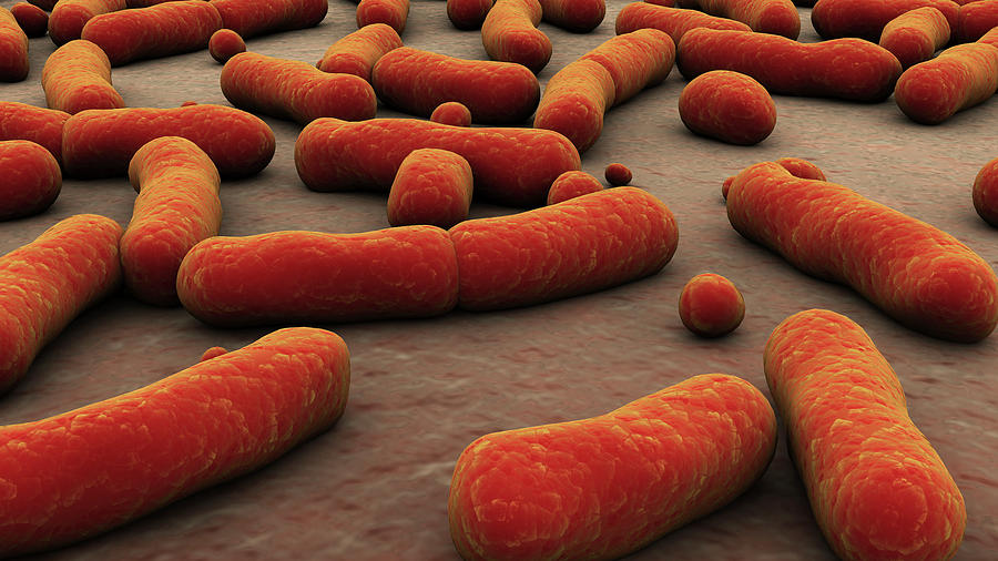 Conceptual Image Of Bacteria #6 Photograph by Stocktrek Images