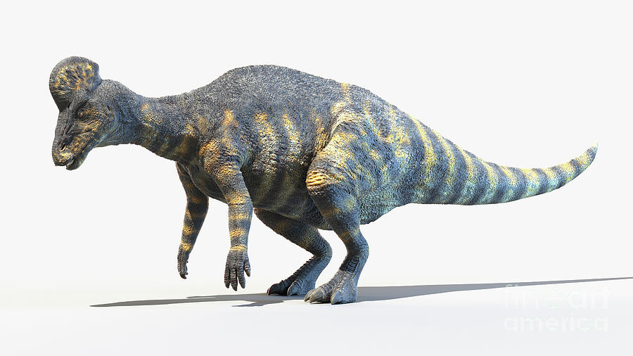 Corythosaurus Photograph By Sebastian Kaulitzkiscience Photo Library Fine Art America 4726