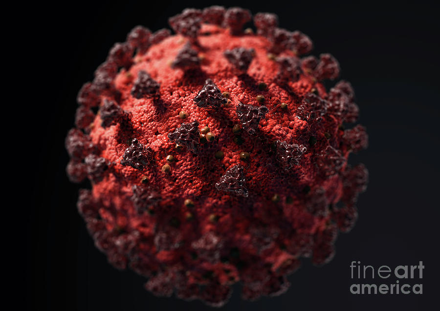 Covid-19 Coronavirus Particle #6 Photograph by Medical Graphics/michael Hoffmann/science Photo Library