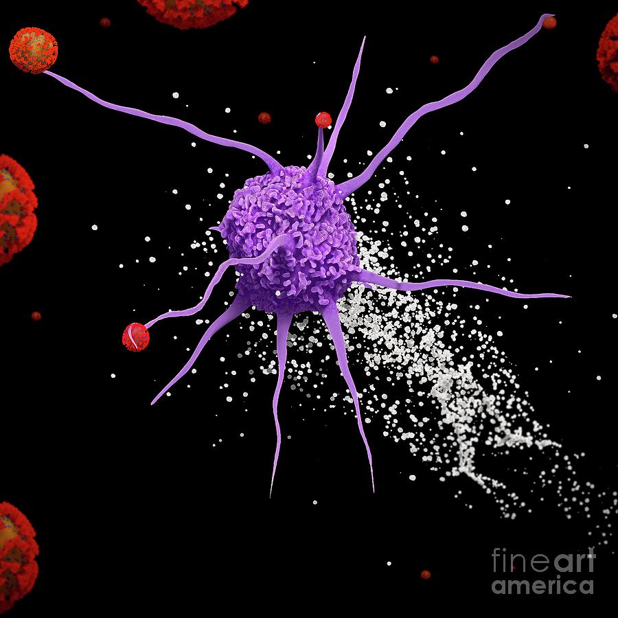 Covid-19 Cytokine Storm Photograph By Tim Vernon / Science Photo ...