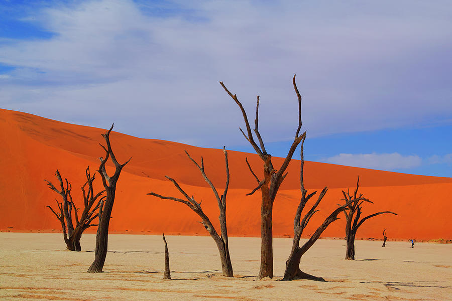 Dead Vlei Namib Desert #6 Photograph by Hiroya Minakuchi