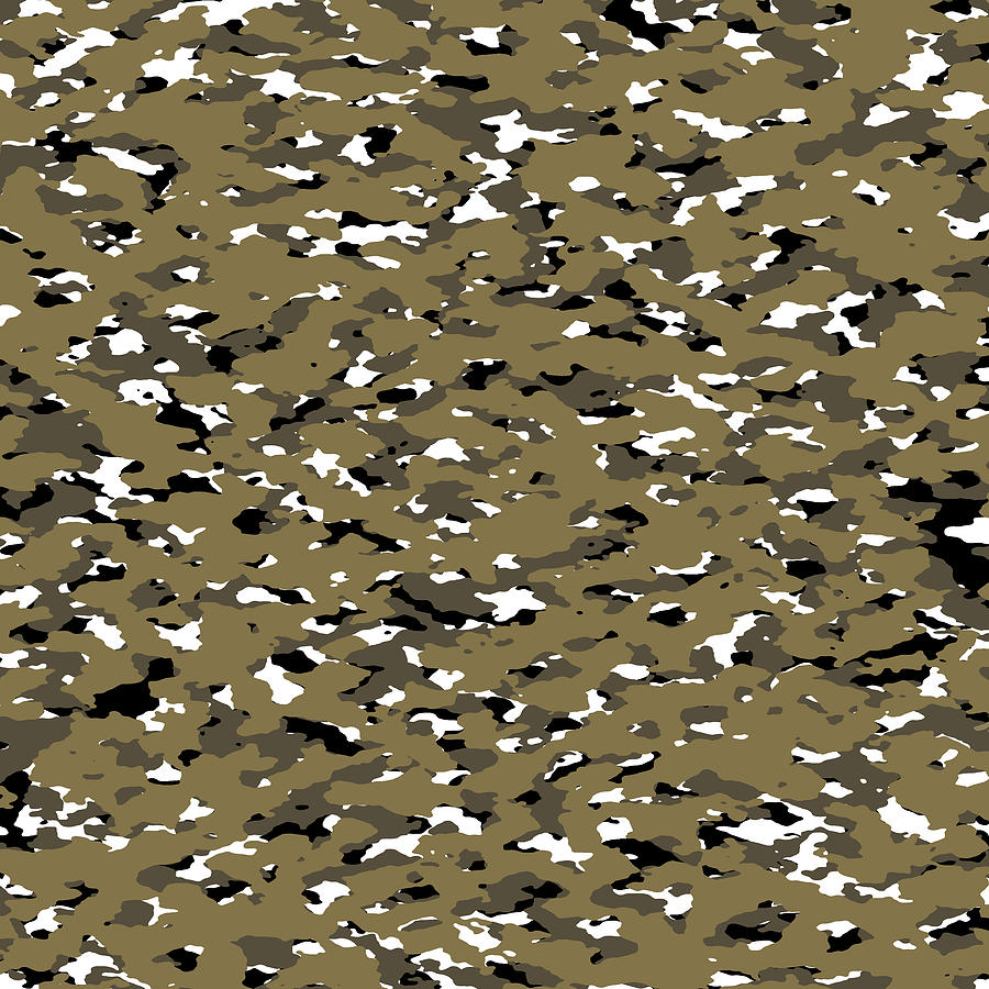 Desert Camouflage Pattern #6 by Jared Davies