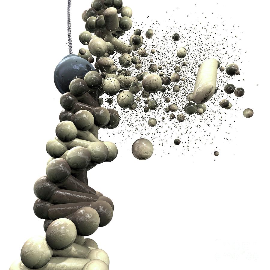 Dna Damage Photograph by Russell Kightley/science Photo Library Biology Diagrams
