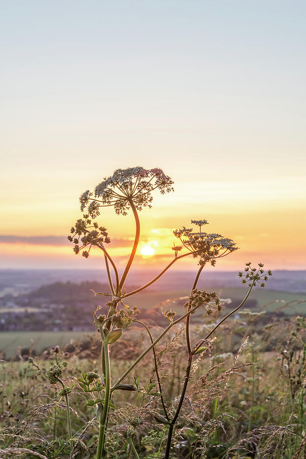 Dunstable Downs Sunset #6 Photograph by Graham Custance - Fine Art America