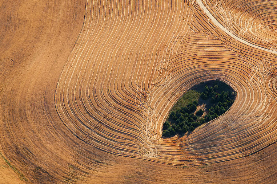 Farmland Landscape, With Ploughed #6 Photograph by Mint Images - Art Wolfe