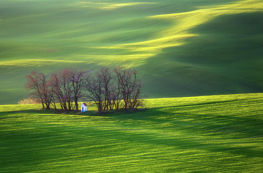 Fields... #6 Photograph by Krzysztof Browko