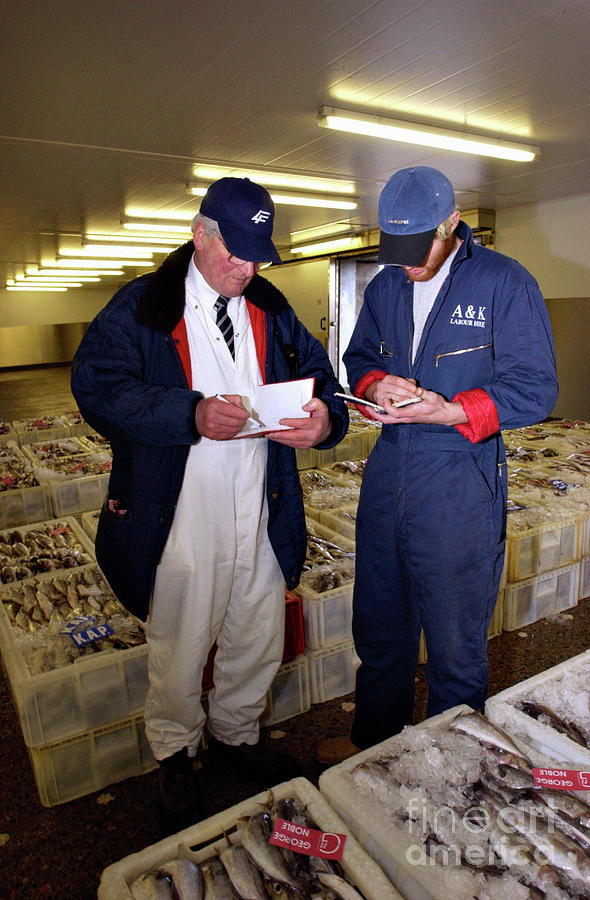 Fish Market #6 Photograph by Lewis Houghton/science Photo Library