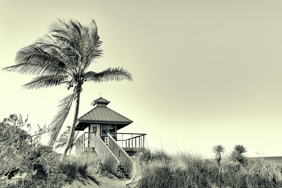 Florida, Boca Raton, Lifeguard Tower With Palm Tree At The Beach #6 Digital Art by Laura Diez