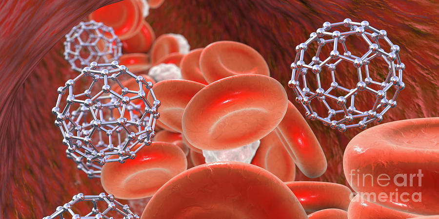 Fullerene Nanoparticles In Blood #6 Photograph by Kateryna Kon/science Photo Library