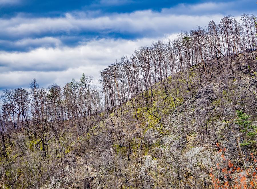 Gatlinburg Tennessee City In Smoky Mountains #6 Photograph by Alex Grichenko