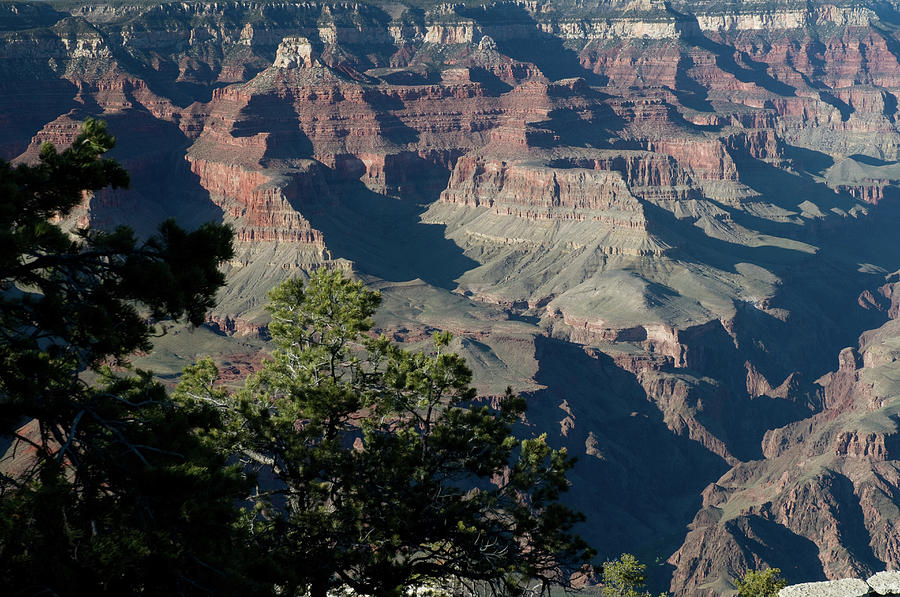 Grand Canyon Beauty #6 Photograph by Mitch Diamond