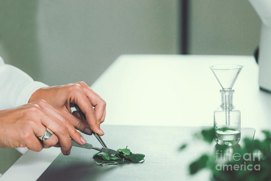 Homeopath Preparing Herbal Remedies #6 Photograph by Microgen Images/science Photo Library