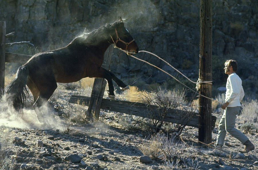 Horses #6 Photograph by Bill Eppridge
