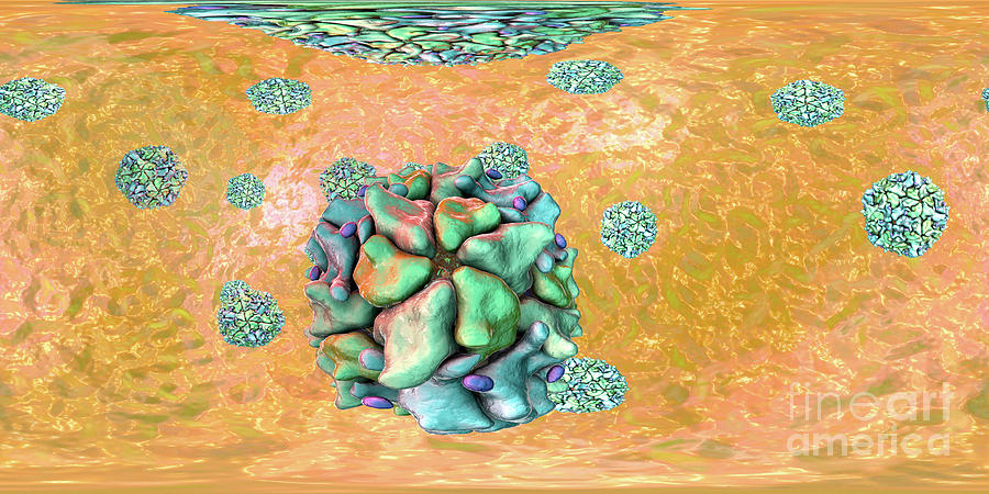 3 Dimensional Photograph - Human Polioviruses #6 by Kateryna Kon/science Photo Library
