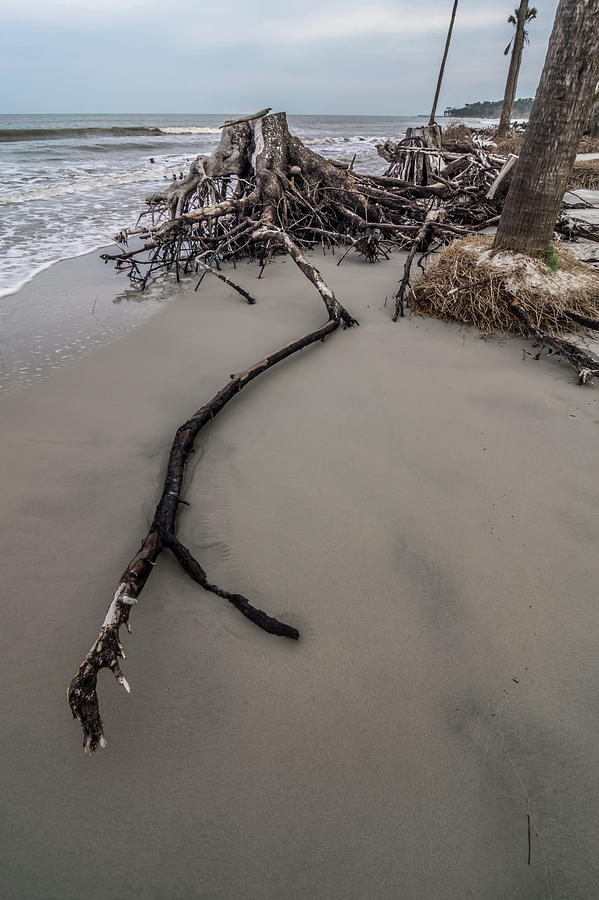 Hunting Island South Carolina Beach Scenes #6 Photograph by Alex Grichenko