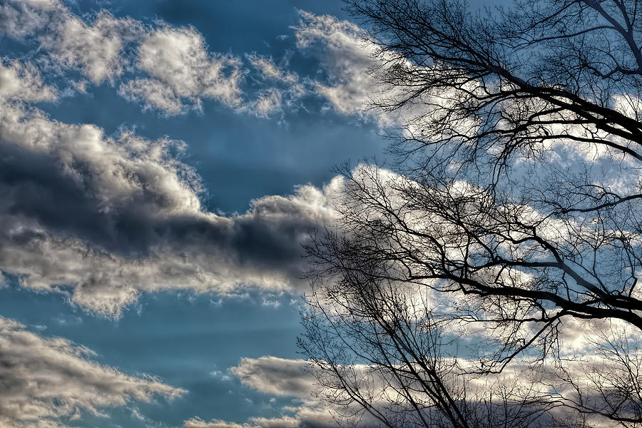 Late Afternoon Clouds Sky and Trees #6 Photograph by Robert Ullmann