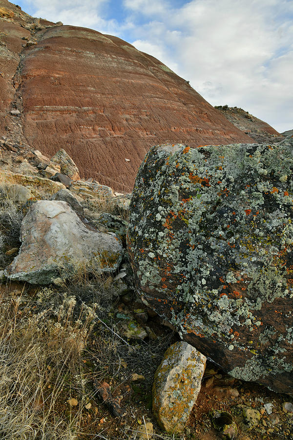 Lichen Covered Boulders on Ruby Mountain #6 Photograph by Ray Mathis