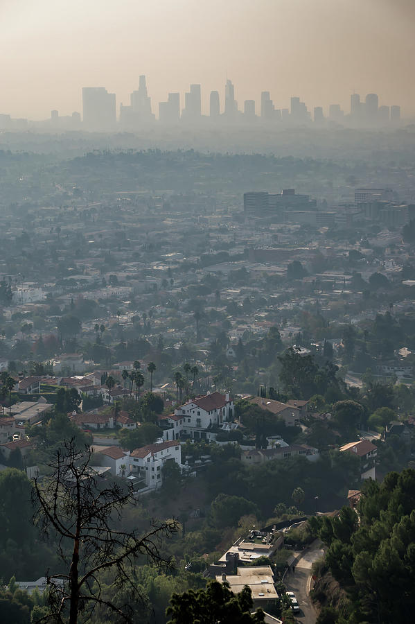 Los Angeles Skyline And Suburbs Wrapped In Smoke From Woosle Fir #6 Photograph by Alex Grichenko
