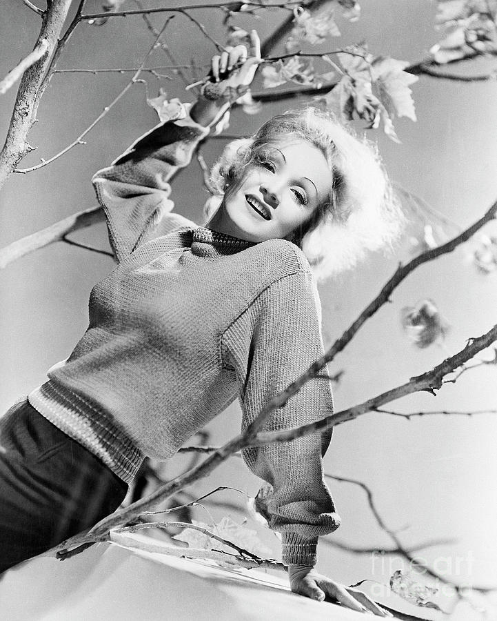 Marlene Dietrich #6 Photograph by Bettmann