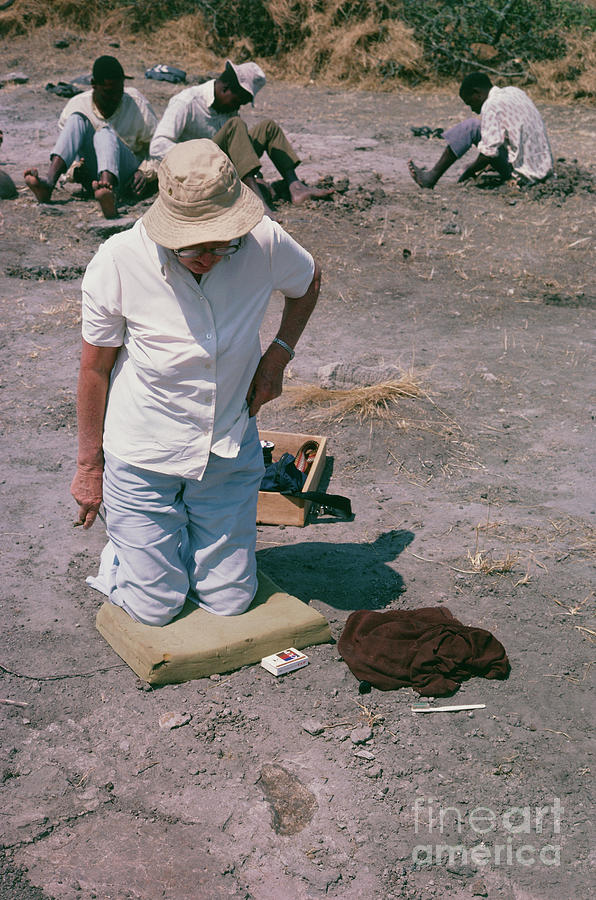 Portrait Photograph - Mary Leakey On Site At Laetoli #6 by John Reader/science Photo Library
