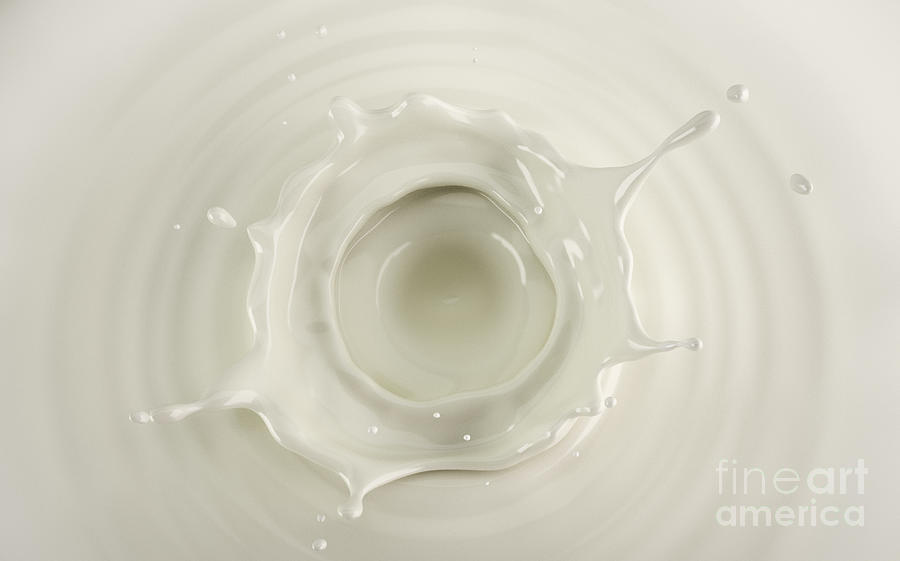 Milk Crown Splash Photograph By Leonello Calvetti Science Photo Library