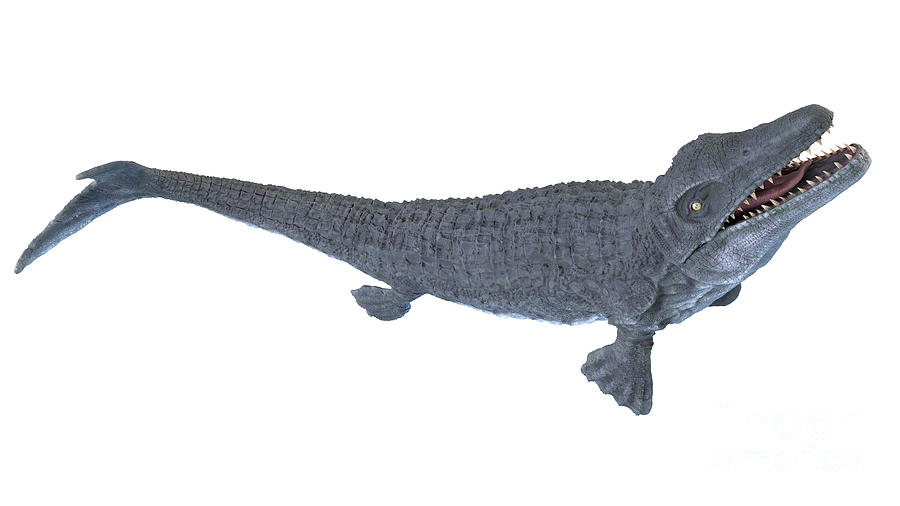 Mosasaurus Photograph by Sebastian Kaulitzki/science Photo Library - Pixels