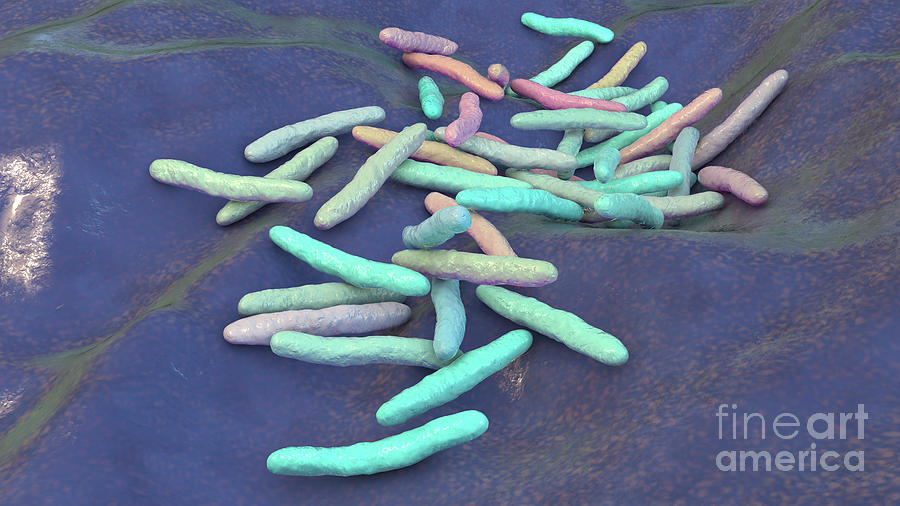 Mycobacterium Ulcerans Bacteria 6 Photograph by Kateryna Kon/science