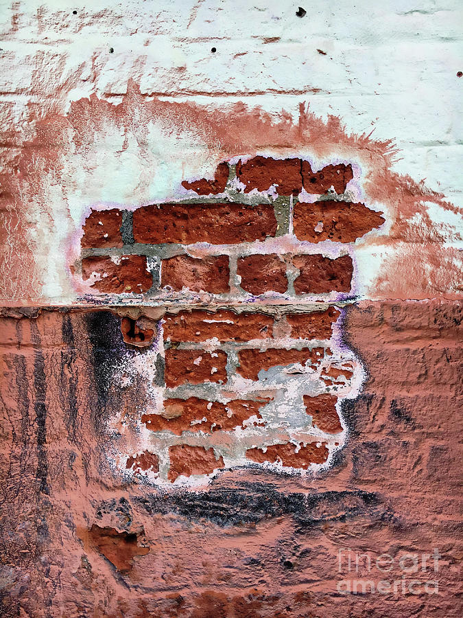 Abstract Photograph - Old brick wall #6 by Tom Gowanlock