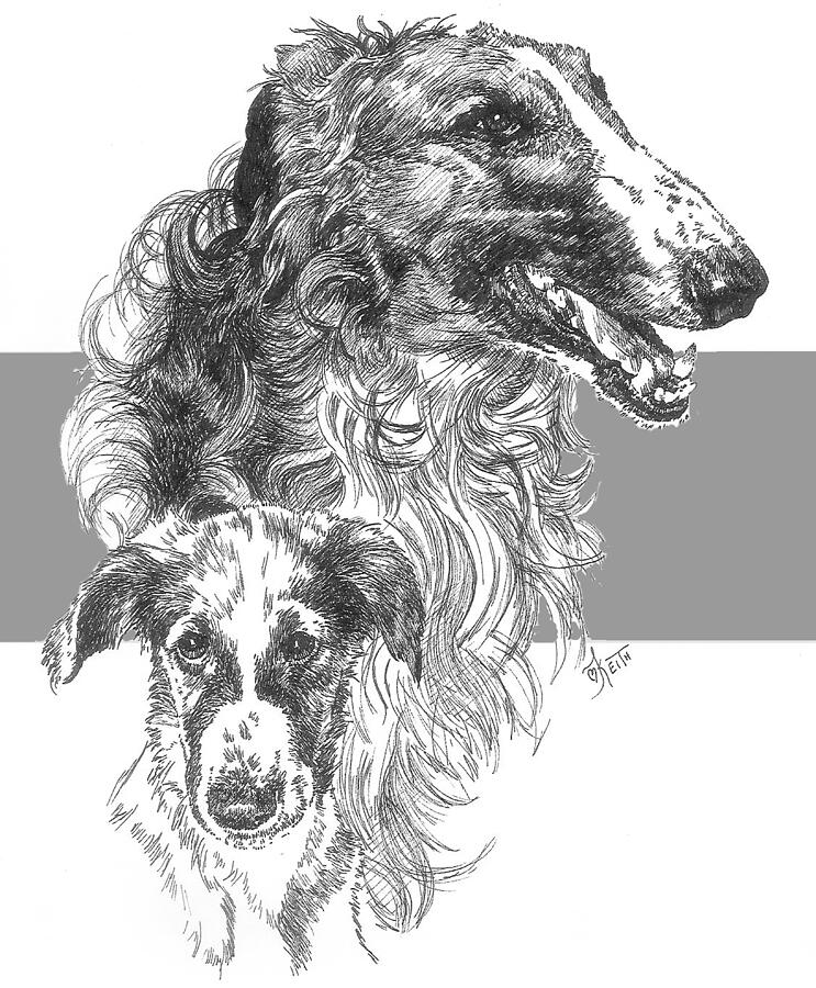 Borzoi and Pup Drawing by Barbara Keith