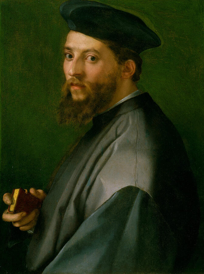 Portrait of a Man #6 Painting by Andrea del Sarto