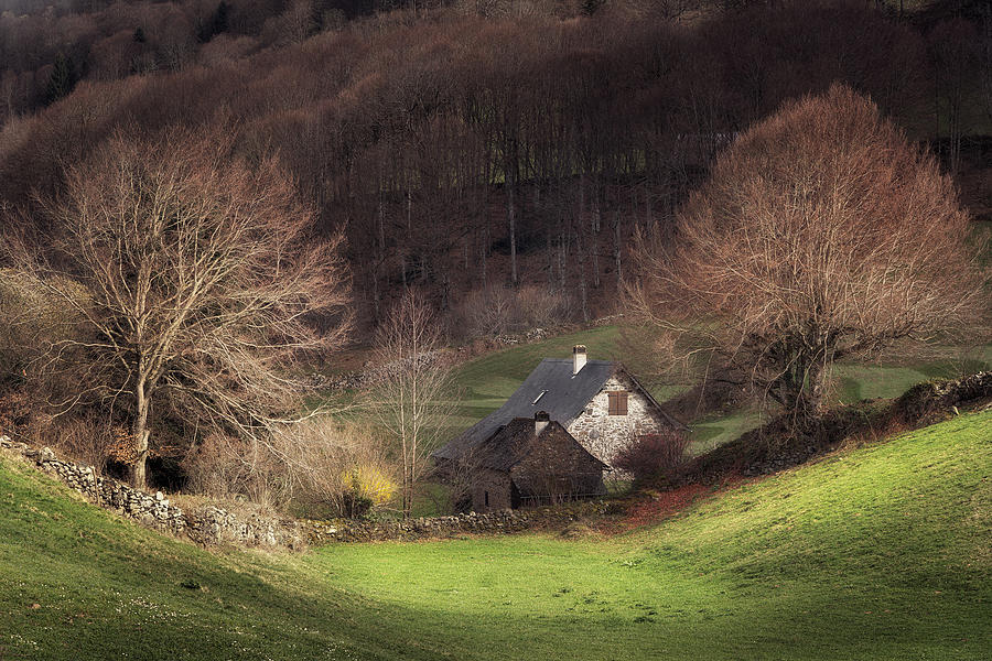Rural Life #6 Photograph by Oskar Baglietto