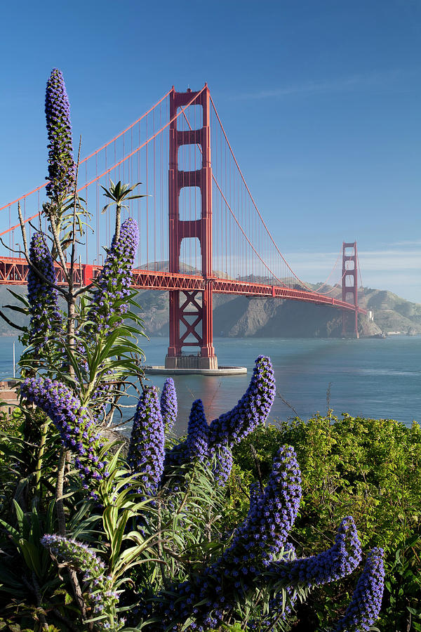 San Francisco, Golden Gate Bridge #6 Digital Art by Massimo Ripani